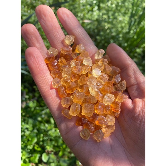 *November* Raw Citrine Earrings - Picture 4 of 5